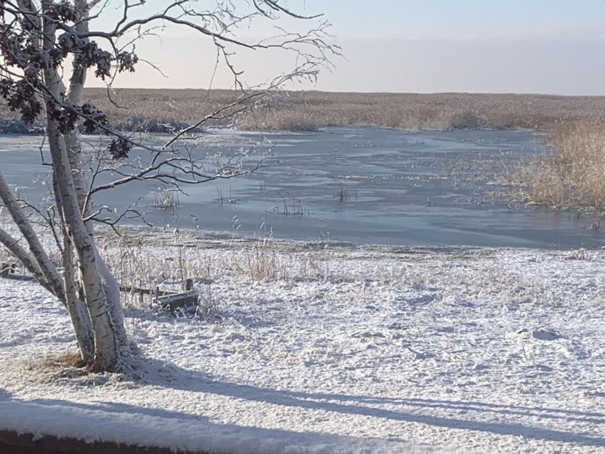 Lakeview & Wildlife Au Gres Extérieur photo