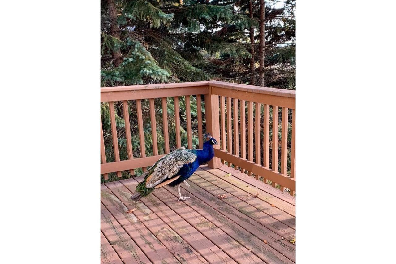 Lakeview & Wildlife Au Gres Extérieur photo