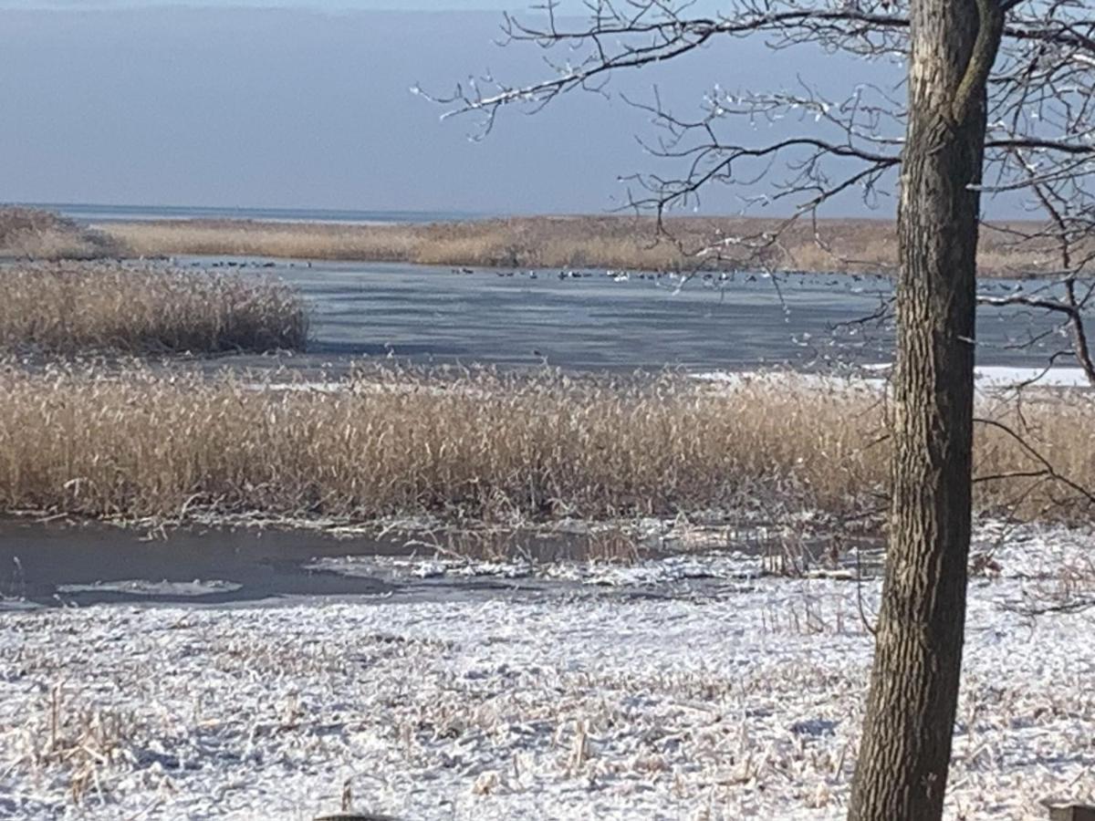 Lakeview & Wildlife Au Gres Extérieur photo